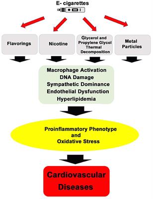 Electronic Cigarette Use and the Risk of Cardiovascular Diseases